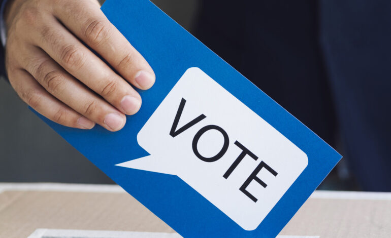 Elezioni rinnovo CSPI: 98 liste per il voto