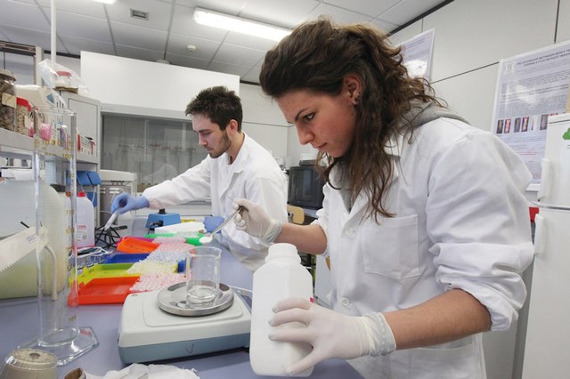 Laurea in scienze della produzione animale (V.O.); ecco le classi di concorso accessibili e dove insegnare