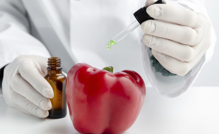 Laurea in Ingegneria chimica (indirizzo alimentare) (V.O.); ecco le classi di concorso accessibili