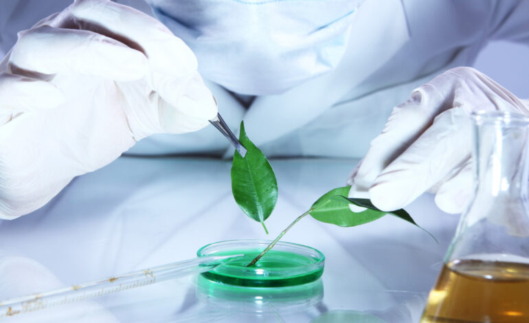 LM 7-Biotecnologie agrarie; CDC