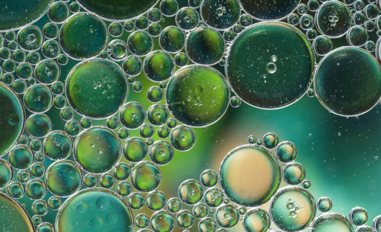 Diploma di Istruzione tecnica; CDC