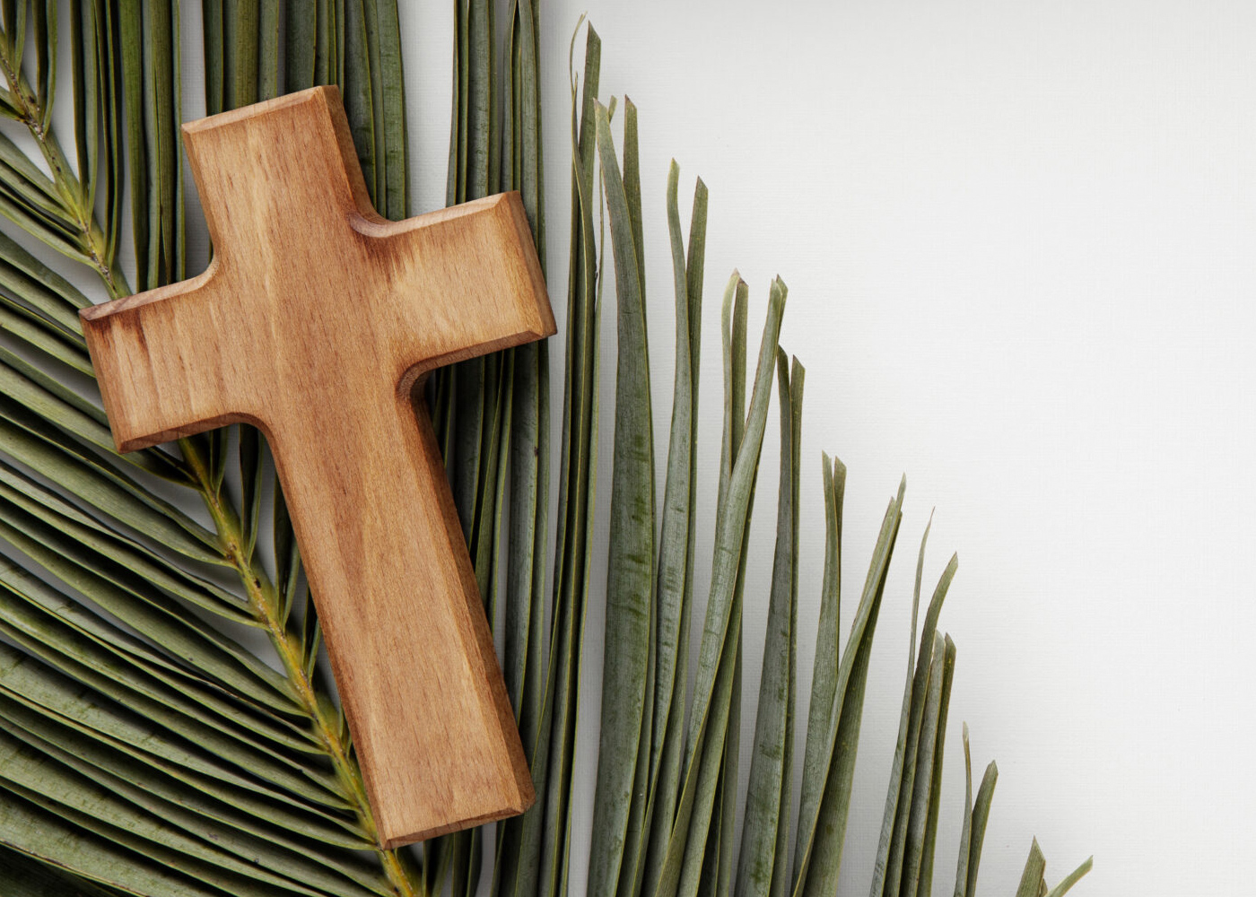 Concorso IRC: Pubblicate le date