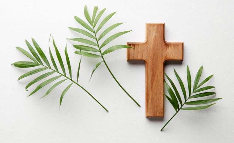 Concorsi IRC, prorogato all’8 luglio il termine per la presentazione delle domande