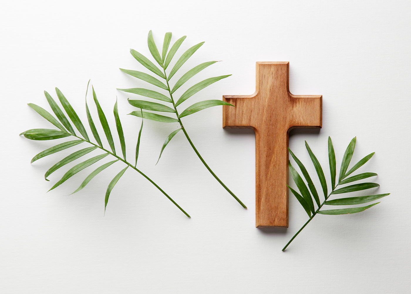 Concorso IRC, istruzioni operative