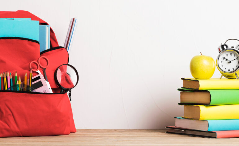 CdM, nuove norme per la sicurezza degli studenti nella scuola-lavoro, punteggi aggiuntivi per i docenti delle isole minori